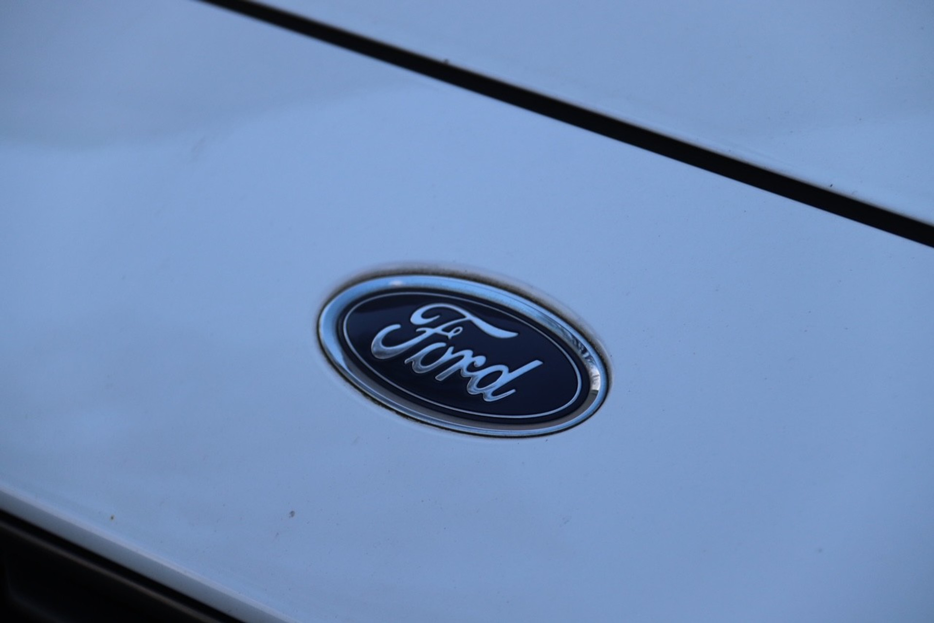 42589313-1.jpg